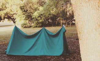 Theresa K.'s photo at Devil's Den Spring near Archer, FL