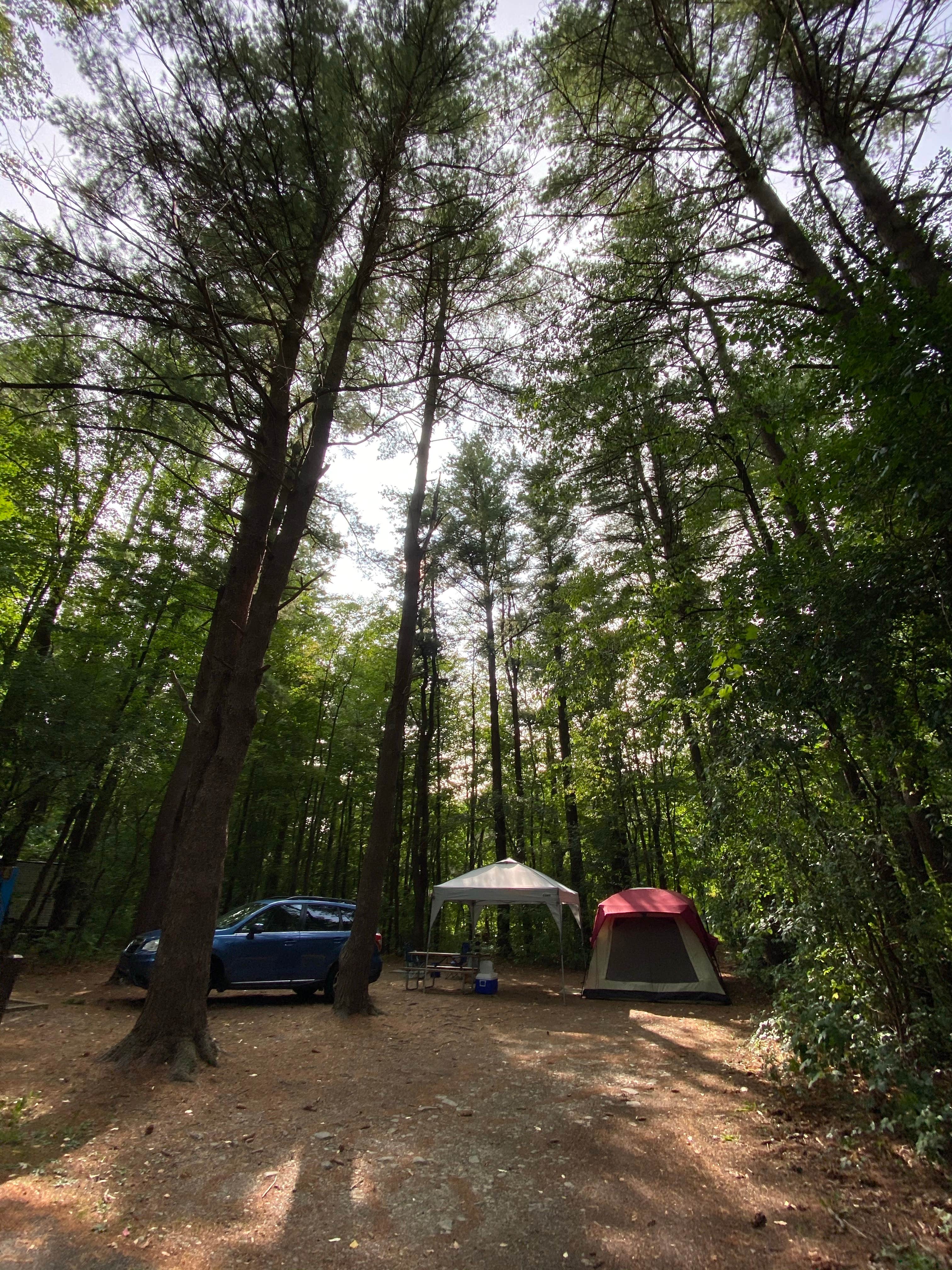 Taylor H.'s photo at Watkins Glen State Park Campground near Hector, NY