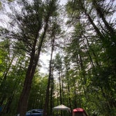 Review photo of Watkins Glen State Park Campground by Taylor H., September 16, 2020