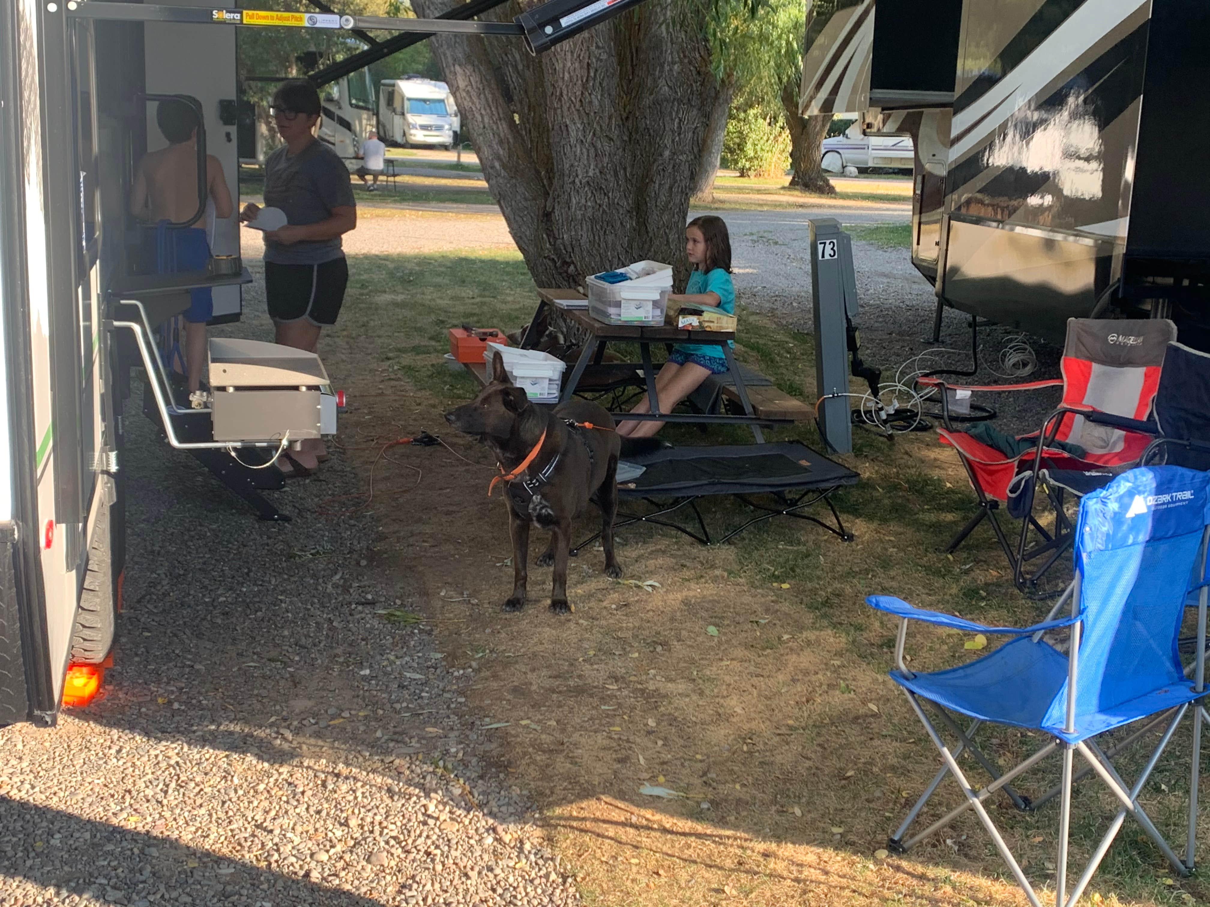 Camper submitted image from Fireside Resort at Jackson Hole - 3