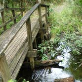 Review photo of Wekiwa Springs State Park Campground by Lizzardicus S., September 16, 2020