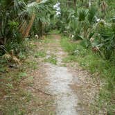 Review photo of Wekiwa Springs State Park Campground by Lizzardicus S., September 16, 2020