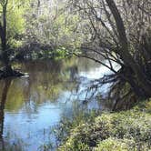 Review photo of Canoe Outpost Little Manatee River by Lizzardicus S., September 16, 2020