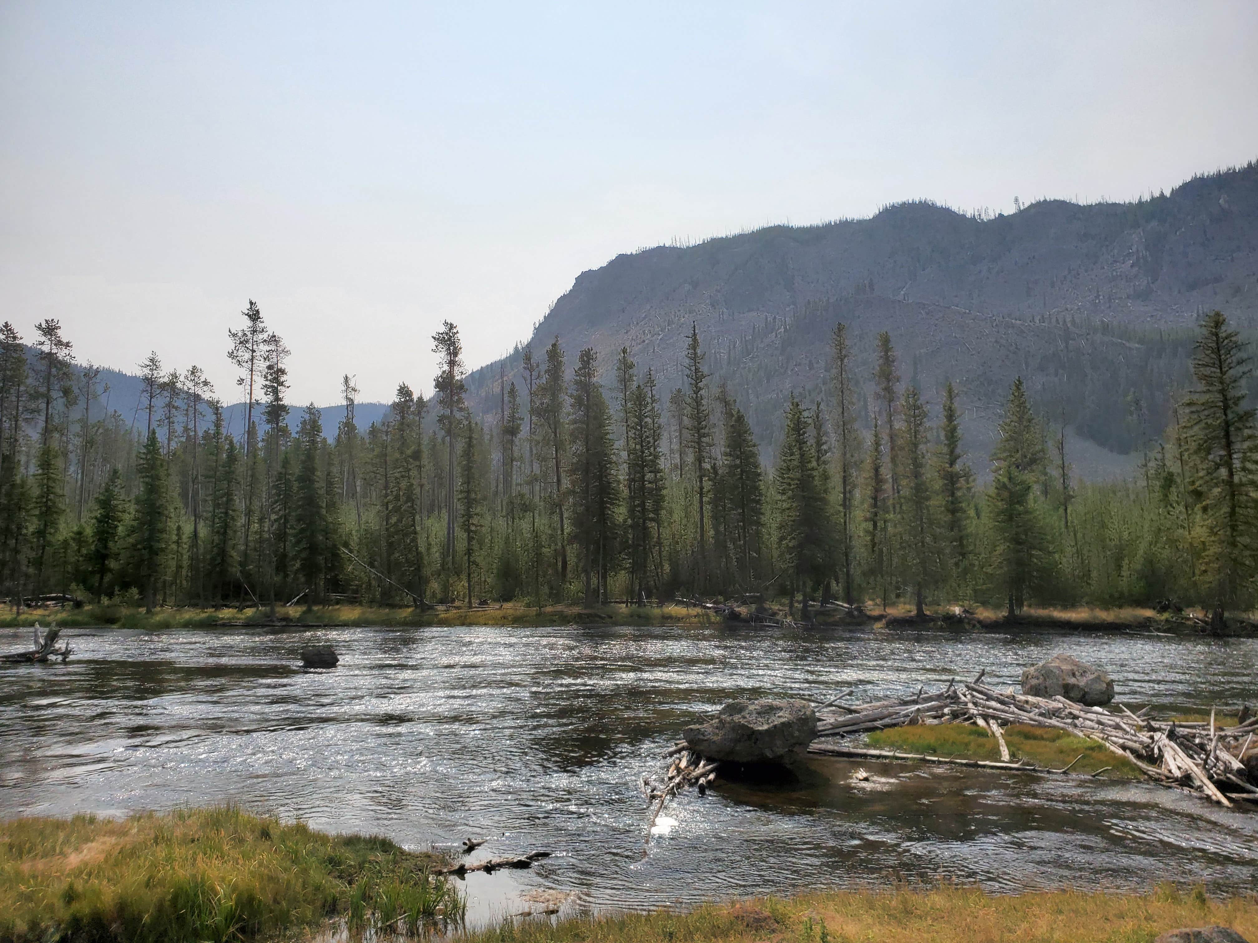 Camper submitted image from Flatrock Campground - 2