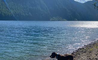 Cassandra C.'s photo of camping with pets at Walupt Lake Campground near Packwood, WA