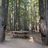 Review photo of Walupt Lake Campground by Cassandra C., September 16, 2020