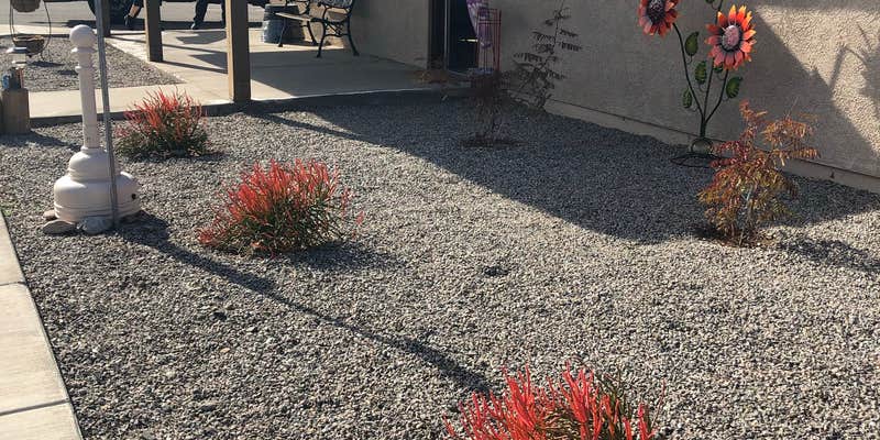 Camper submitted image from Quail Run RV