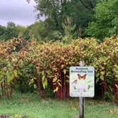 Review photo of Prairie Flower Recreation Area by Chelsea G., September 16, 2020