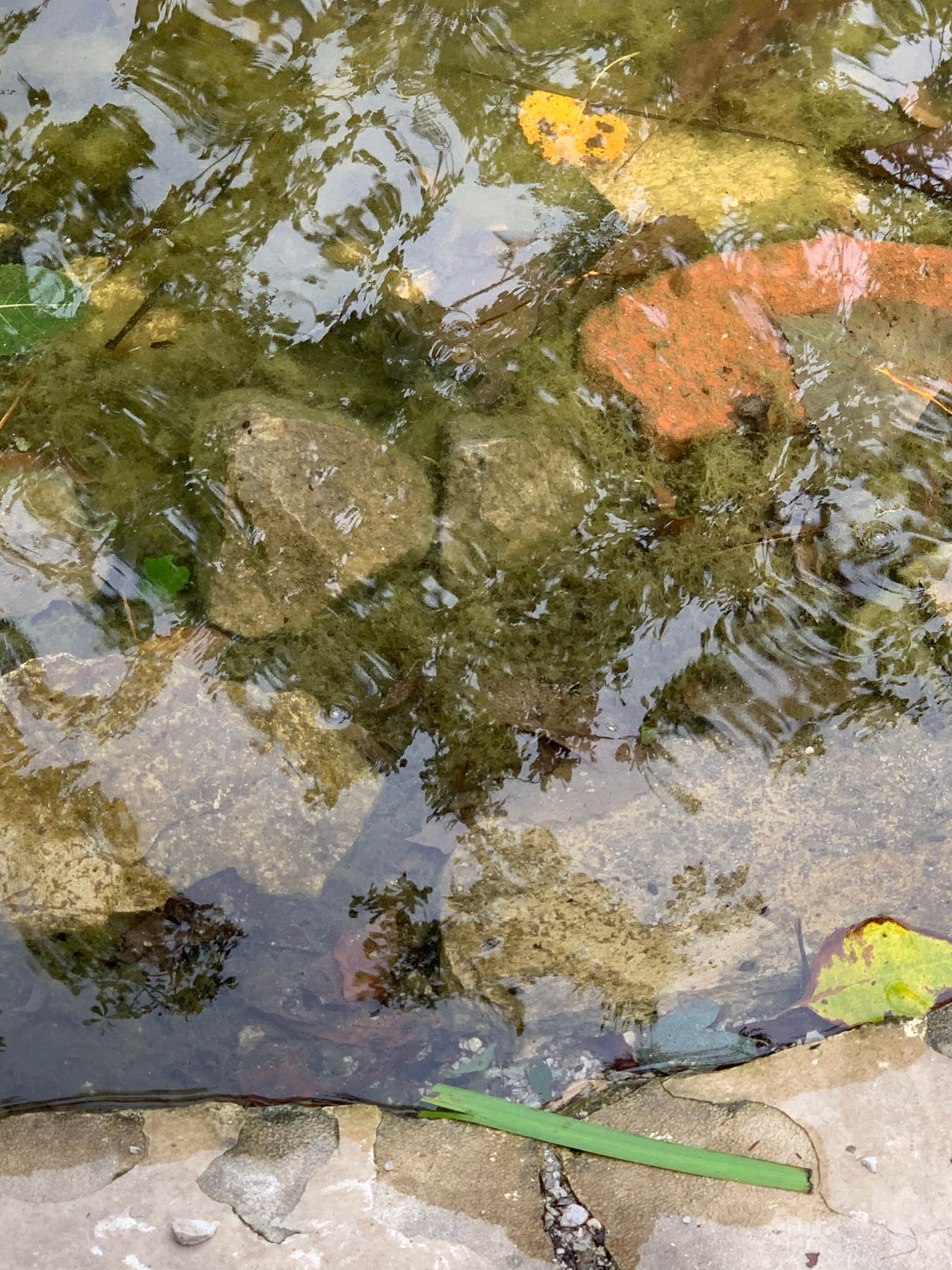 Camper-submitted photo at Prairie Flower Recreation Area near Granger, IA