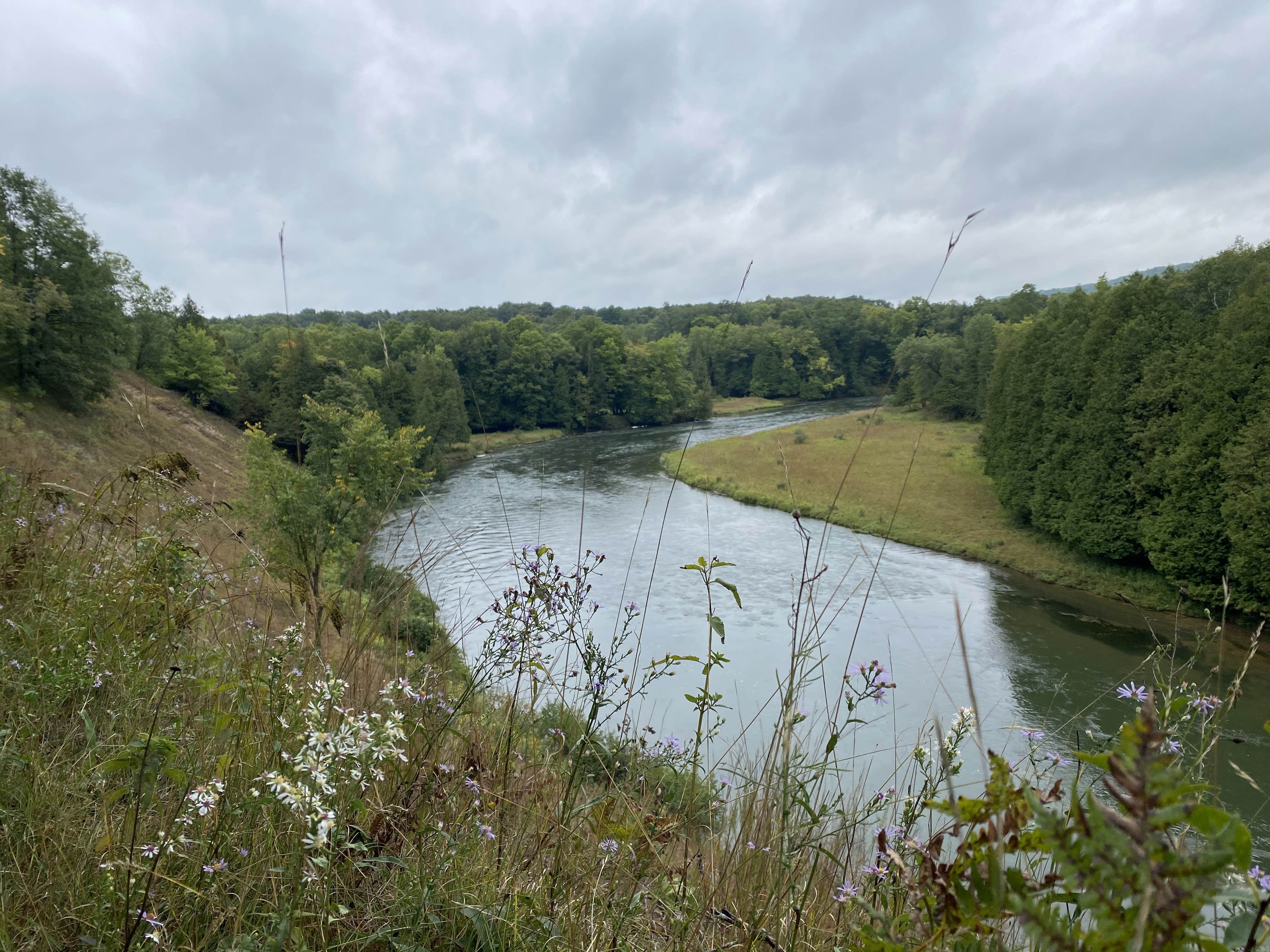 Camper submitted image from Manistee River Trail Dispersed Camping - 1