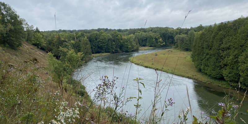 Camper submitted image from Manistee River Trail Dispersed Camping