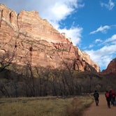 Review photo of Watchman Campground — Zion National Park by David L., September 16, 2020