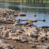 Review photo of Sequoyah Bay Marina and Cabins — Sequoyah Bay State Park by Bonnie A., September 16, 2020