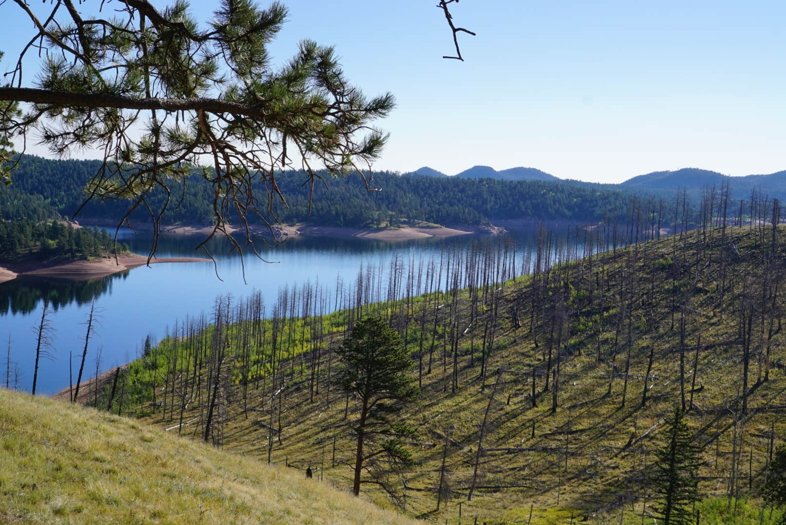 Thunder Ridge The Dyrt