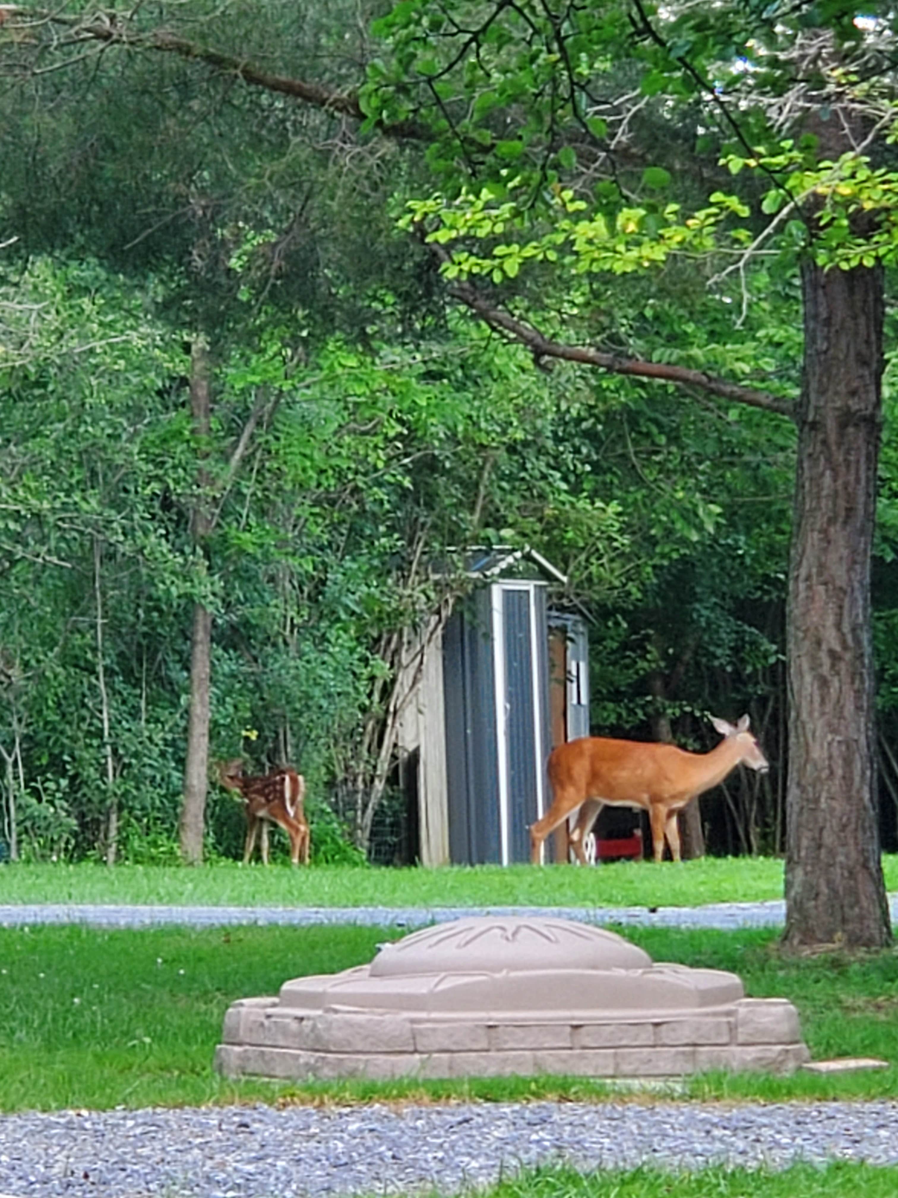 Camper-submitted photo at Lei-ti Recreation Resort & Campgrounds near Rush, NY