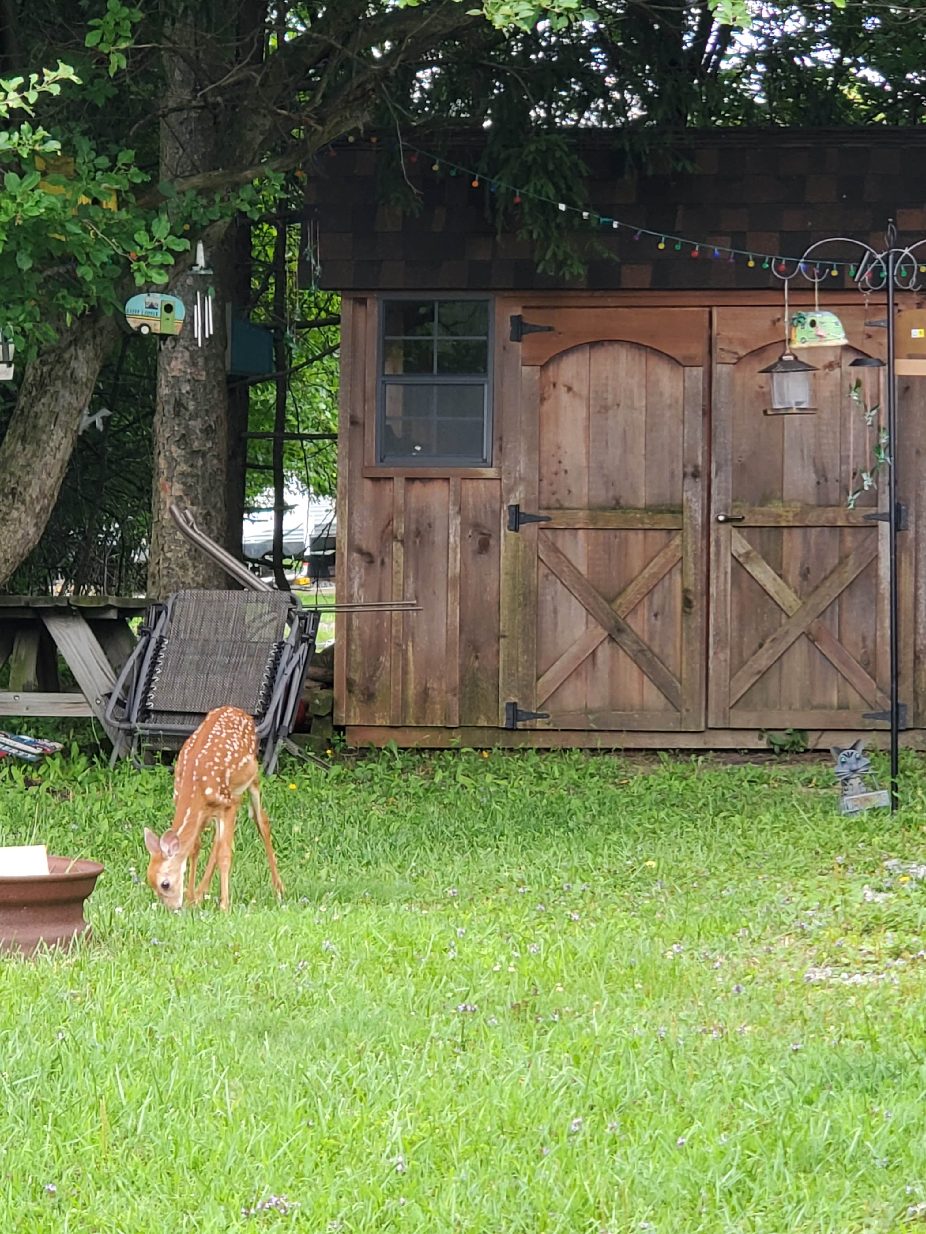 Camper-submitted photo at Lei-ti Recreation Resort & Campgrounds near Rush, NY