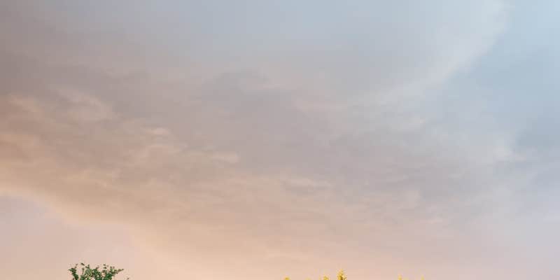 Camper submitted image from Lei-ti Recreation Resort & Campgrounds