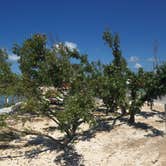 Review photo of Buttonwood Campground — Bahia Honda State Park by Theresa K., May 17, 2018