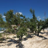 Review photo of Bayside Campground — Bahia Honda State Park by Theresa K., May 17, 2018