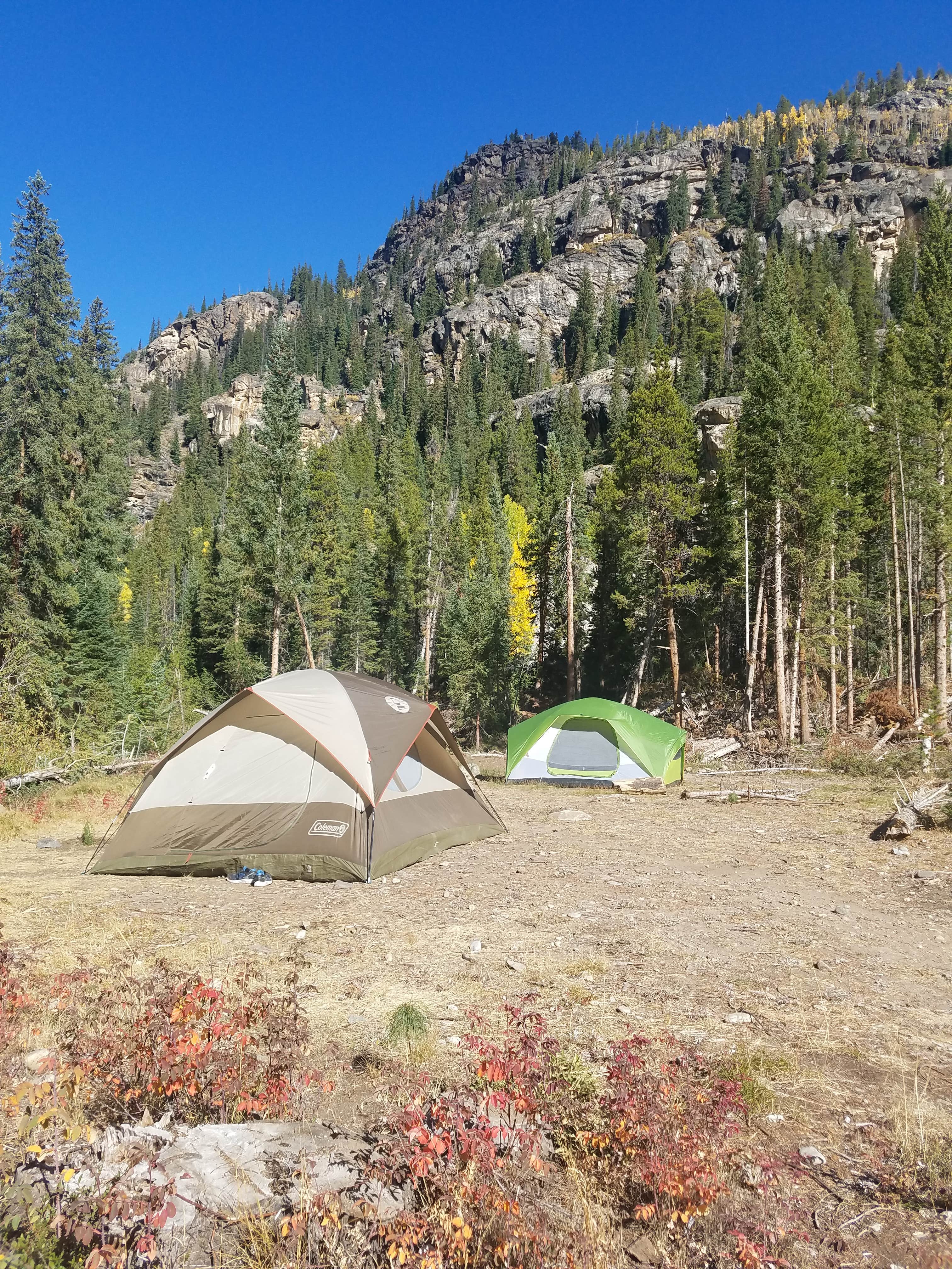 Tamara S.'s photo of tent camping at Portal Campground near Basalt, CO