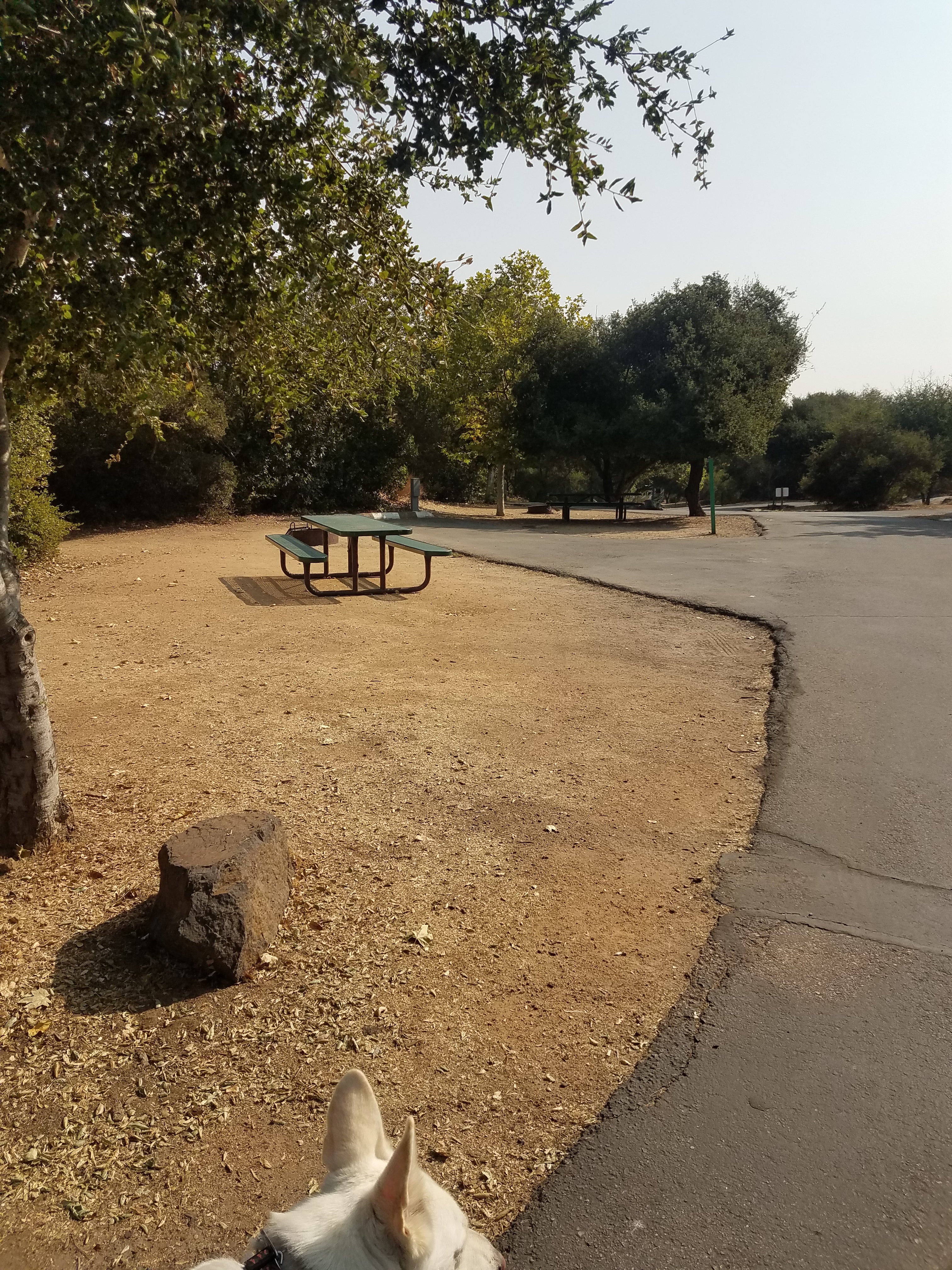 Camper submitted image from Dos Picos County Park - 4