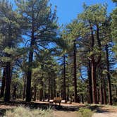 Review photo of Campo Alto Campground by Jessica , September 16, 2020