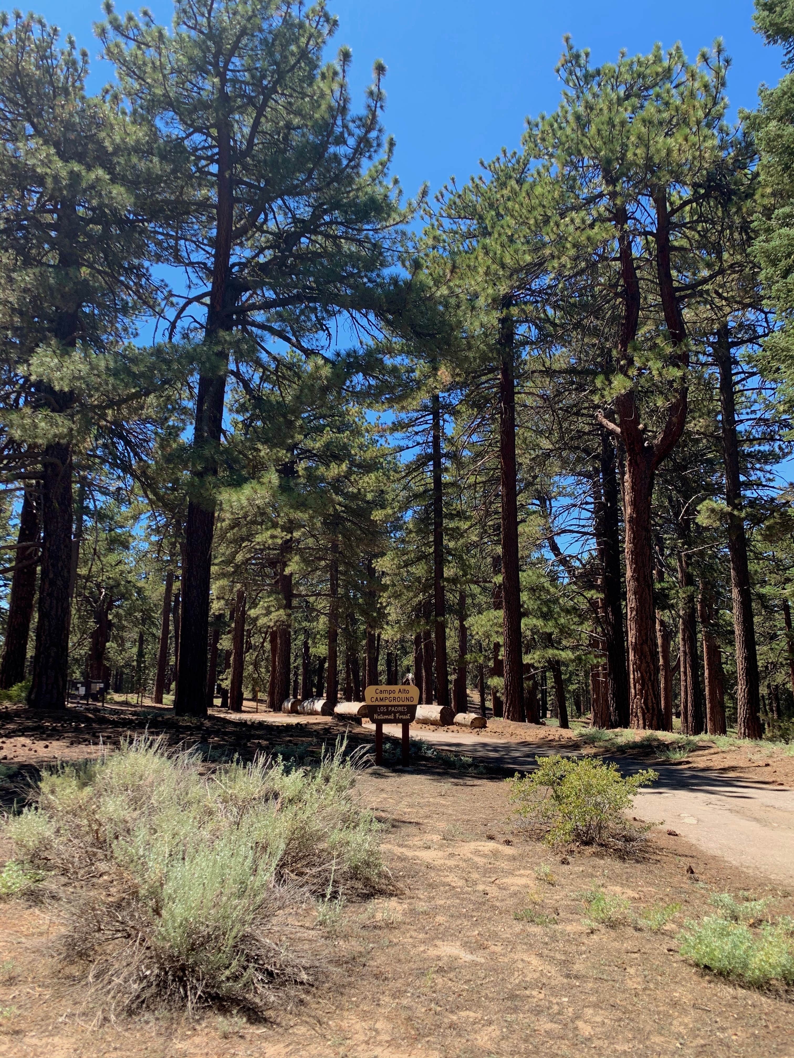 Camper submitted image from Campo Alto Campground - 4