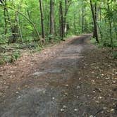 Review photo of Charles A. Lindbergh State Park Campground by Janet R., September 16, 2020