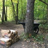 Review photo of Charles A. Lindbergh State Park Campground by Janet R., September 16, 2020