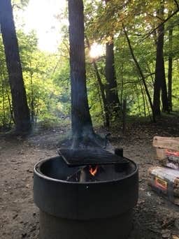 Janet R.'s photo at Charles A. Lindbergh State Park Campground near North Shore, MN