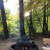 Review photo of Charles A. Lindbergh State Park Campground by Janet R., September 16, 2020