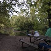 Review photo of Charles A. Lindbergh State Park Campground by Janet R., September 16, 2020