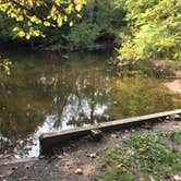 Review photo of Charles A. Lindbergh State Park Campground by Janet R., September 16, 2020