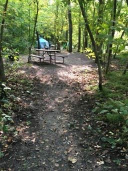 Janet R.'s photo at Charles A. Lindbergh State Park Campground near St. Joseph, MN