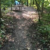 Review photo of Charles A. Lindbergh State Park Campground by Janet R., September 16, 2020