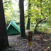 Review photo of Charles A. Lindbergh State Park Campground by Janet R., September 16, 2020