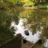 Review photo of Charles A. Lindbergh State Park Campground by Janet R., September 16, 2020