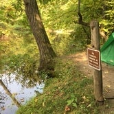 Review photo of Charles A. Lindbergh State Park Campground by Janet R., September 16, 2020