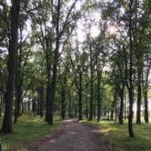 Review photo of Charles A. Lindbergh State Park Campground by Janet R., September 16, 2020