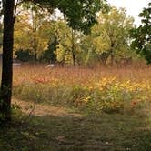 Review photo of Charles A. Lindbergh State Park Campground by Janet R., September 16, 2020