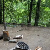 Review photo of Bagley Rapids NF Campground by Kathryn N., September 16, 2020