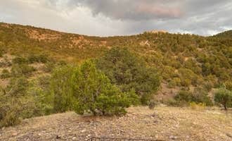 Camping near Cosmic Campground - Dark Sky Sanctuary: Willow Creek, Glenwood, New Mexico