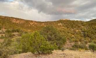 Camping near Aeroplane Mesa Campground: Willow Creek, Glenwood, New Mexico
