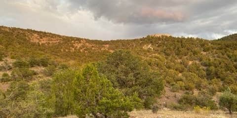 Camper submitted image from Willow Creek