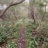 Review photo of Loft Mountain Campground — Shenandoah National Park by Gary G., September 16, 2020