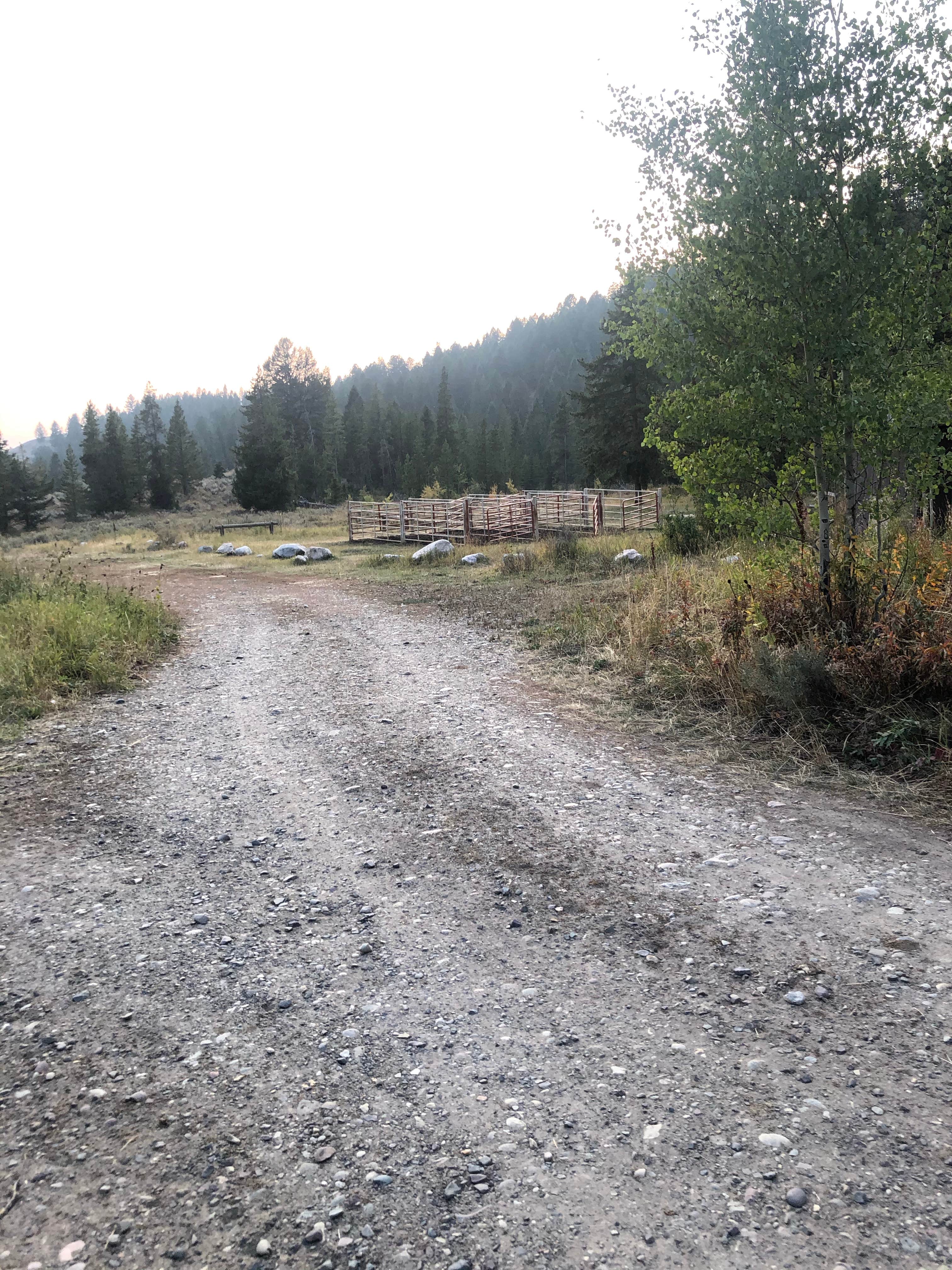 Camper-submitted photo at Box Creek near Shoshone National Forest