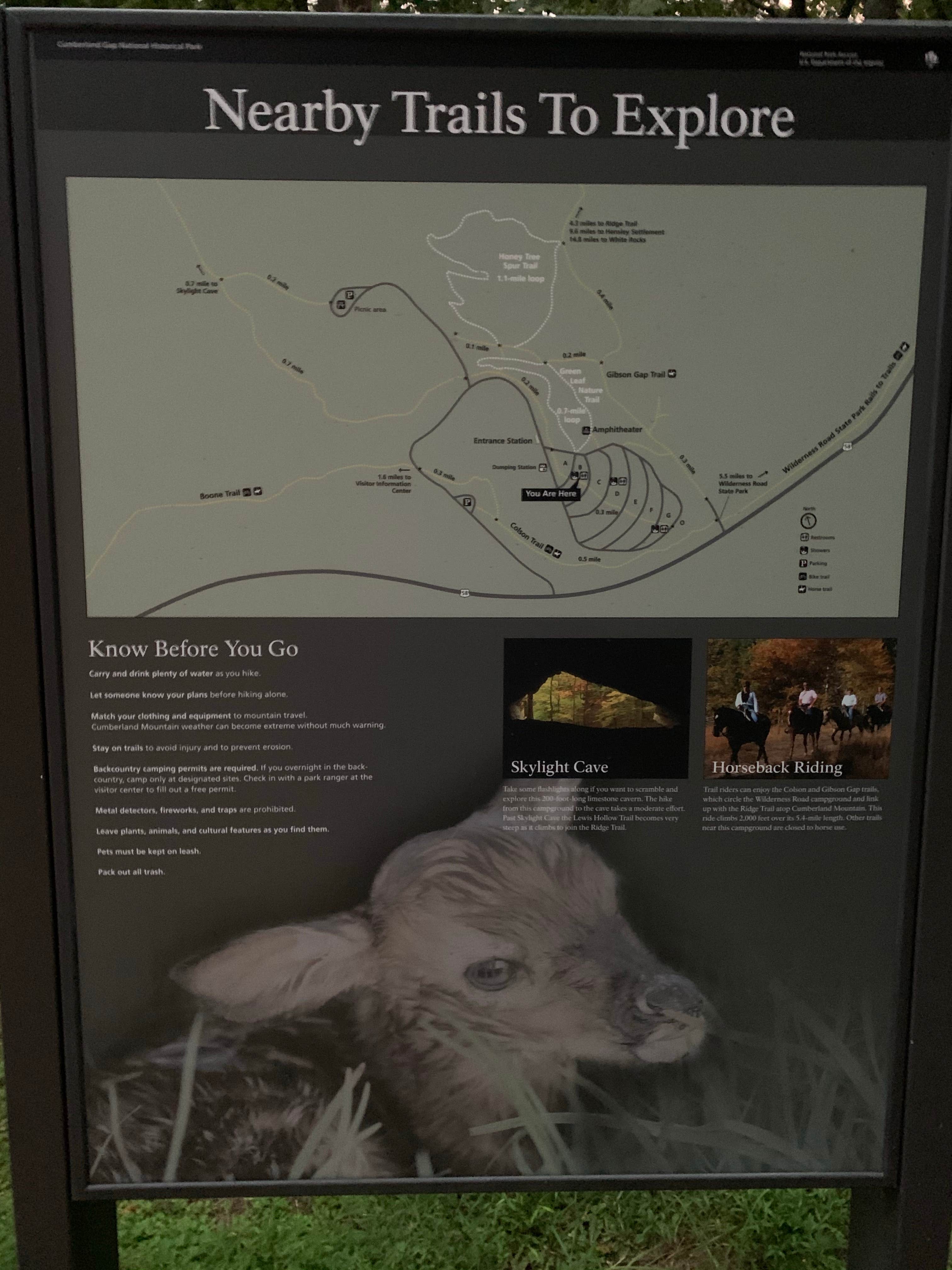 Stephani's photo of camping with pets at Wilderness Road Campground near Ewing, VA