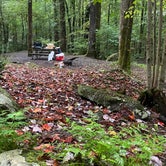 Review photo of Cosby Campground — Great Smoky Mountains National Park by Tim B., September 17, 2020