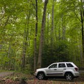 Review photo of Cosby Campground — Great Smoky Mountains National Park by Tim B., September 17, 2020