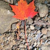 Review photo of Cosby Campground — Great Smoky Mountains National Park by Tim B., September 17, 2020